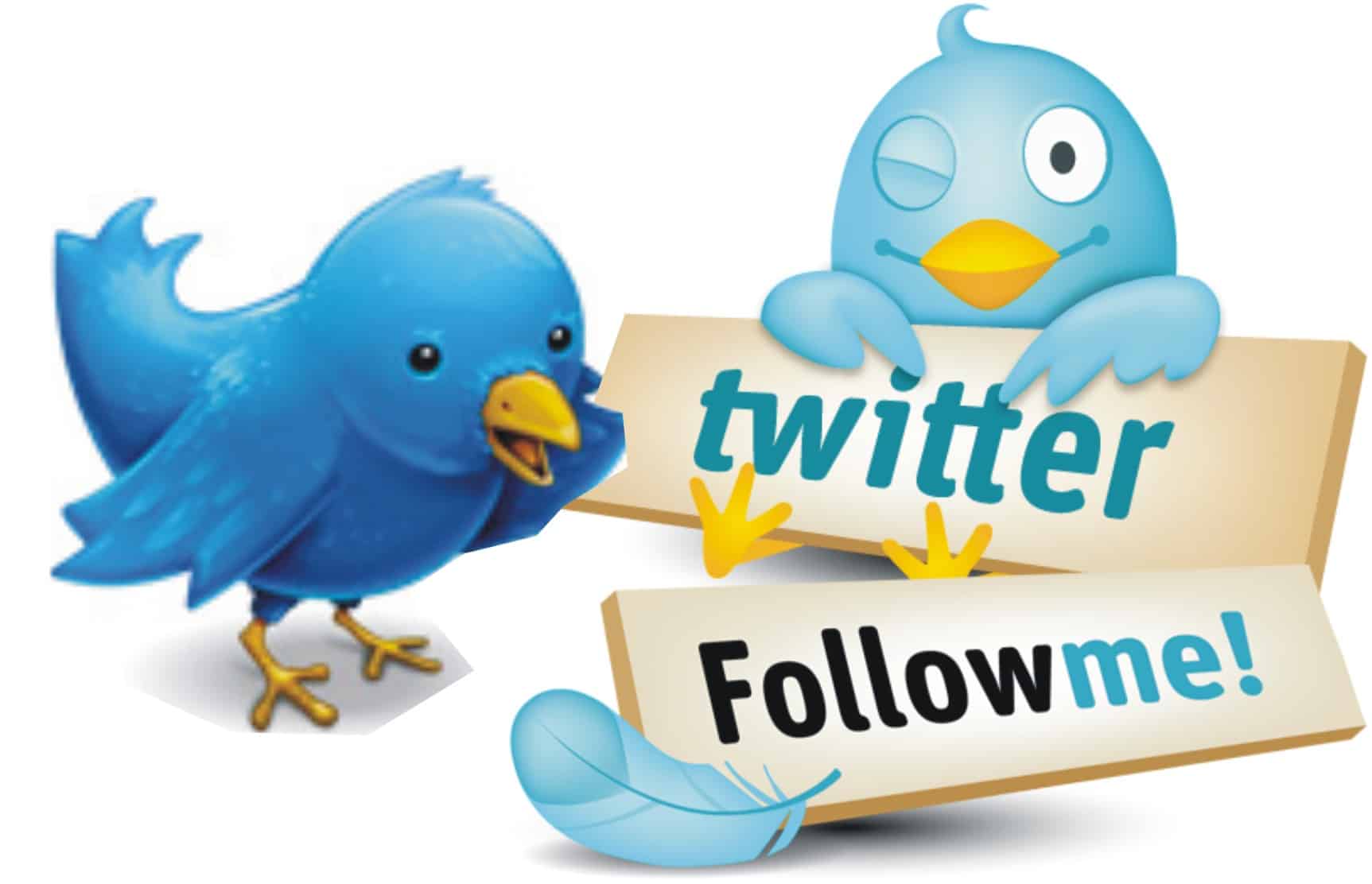 twitter empresa curitiba